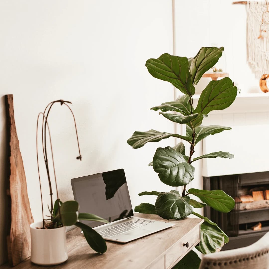 Insert Your Branded Resume Template for Free: The Smartest Way to Scale Your Resume Writing Business